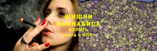 ГАЛЛЮЦИНОГЕННЫЕ ГРИБЫ Балахна